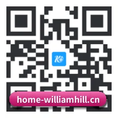 系统版 iOS 二维码